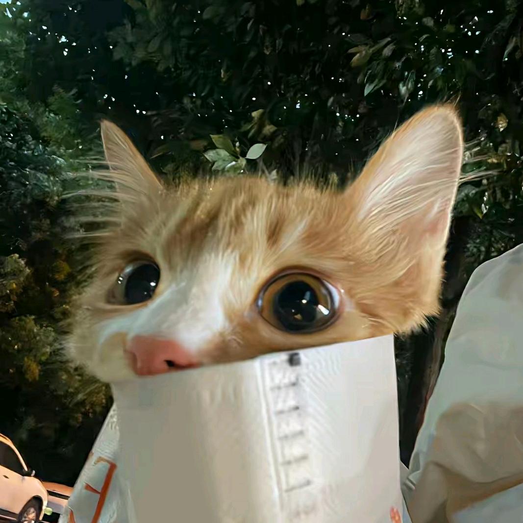 猫哥甄选
