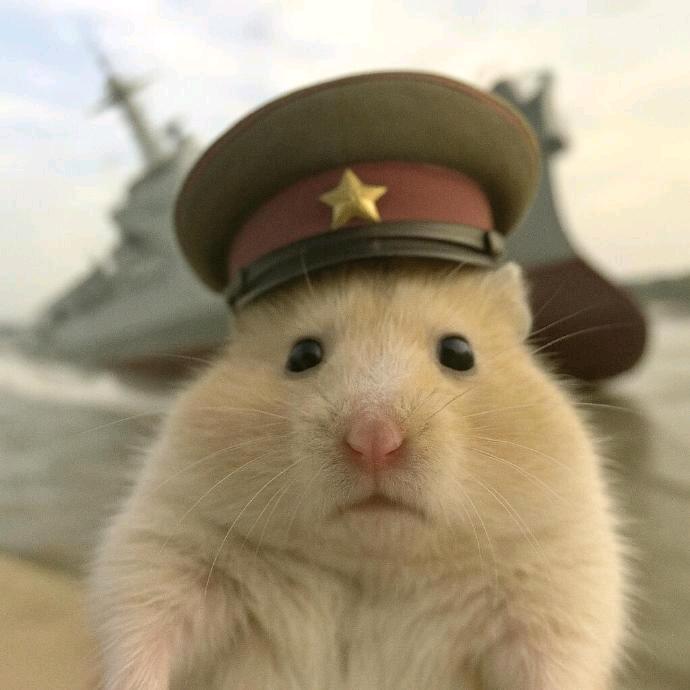 绿色的贪吃鼠✔️