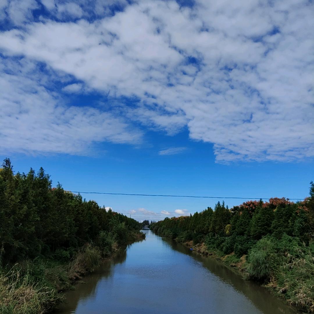 🌾跨区收割 小云