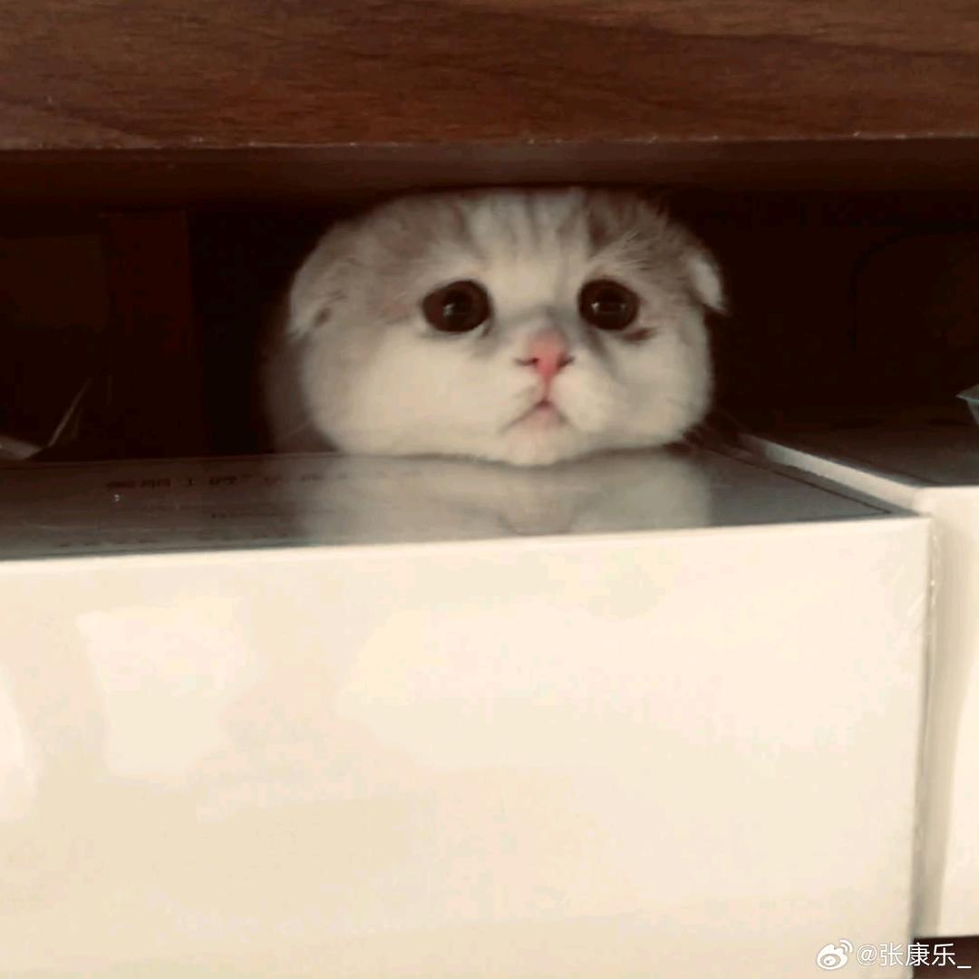 海知道所有秘密