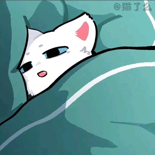 优雅的白米饭✨