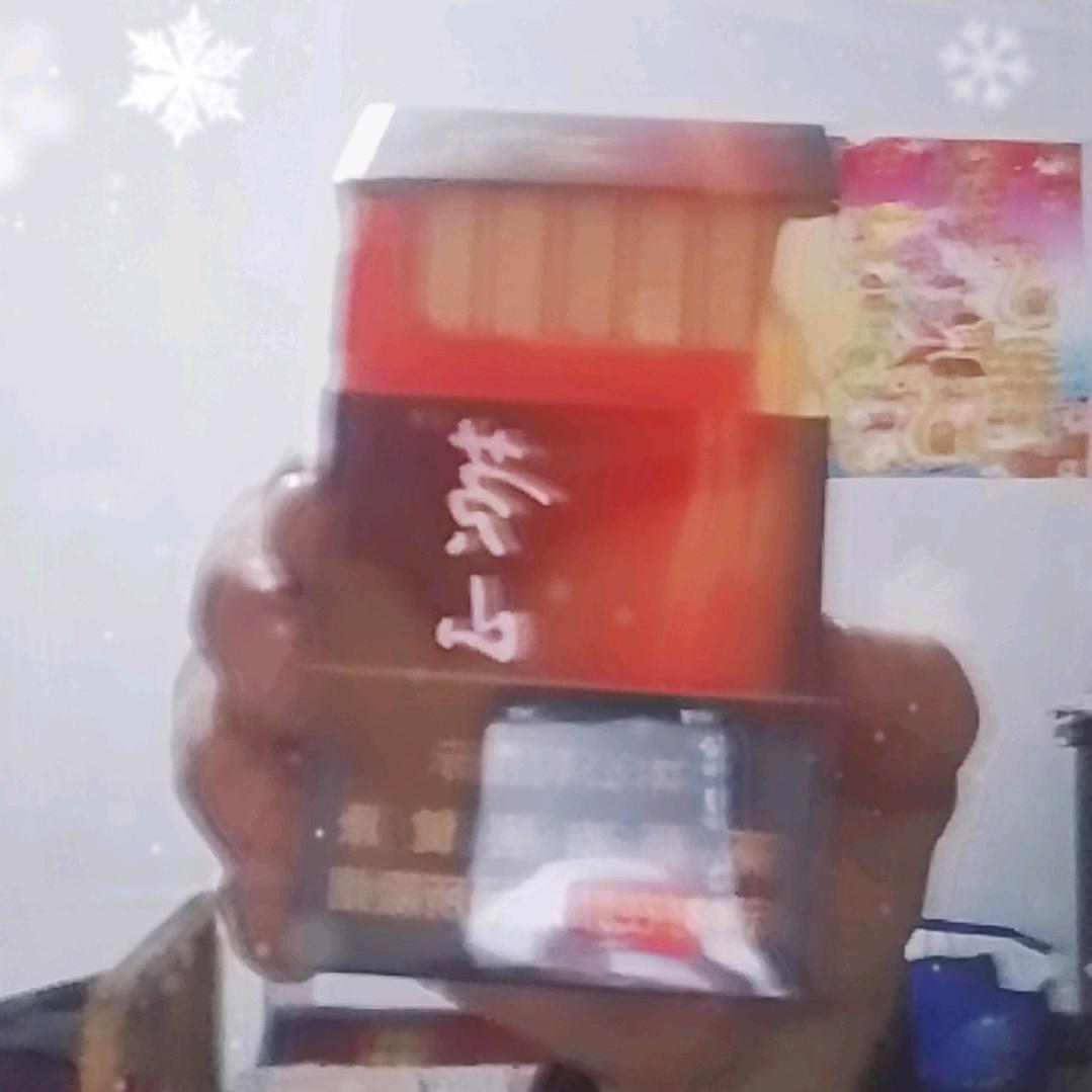 太阳110