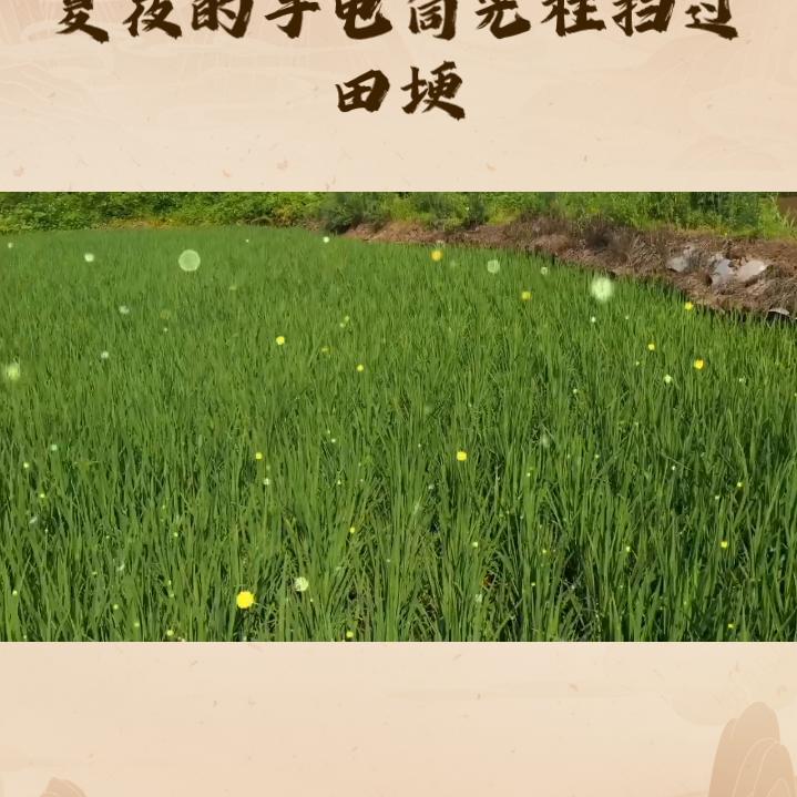 追求梦想