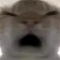 嗯嗯