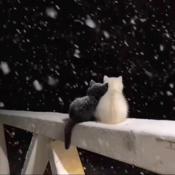 【逍遥】