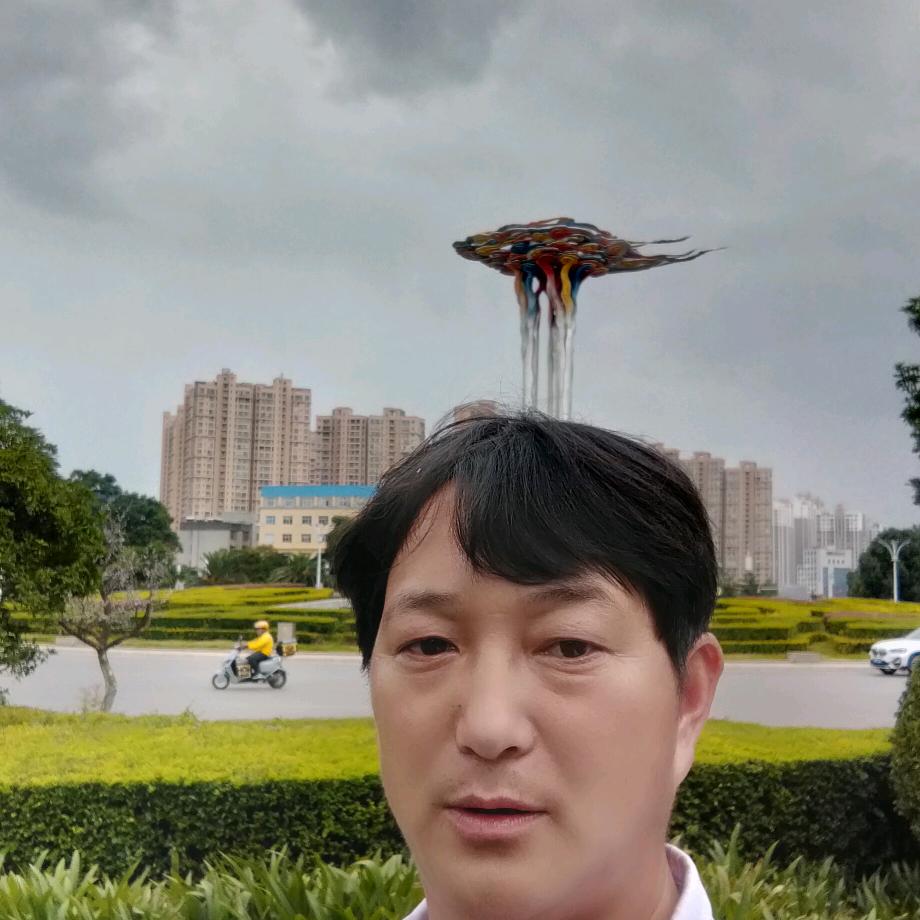 风雨潇潇抱寒梅