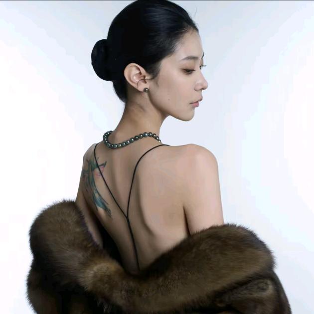 陈什么陈--直播爆款