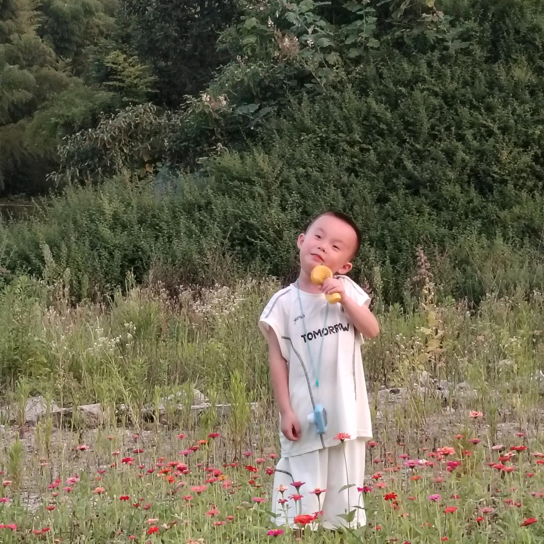 @团子🍓姥姥