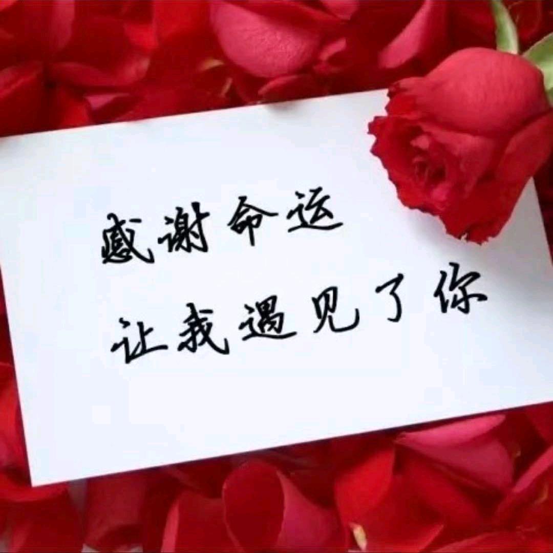 遇见你真好
