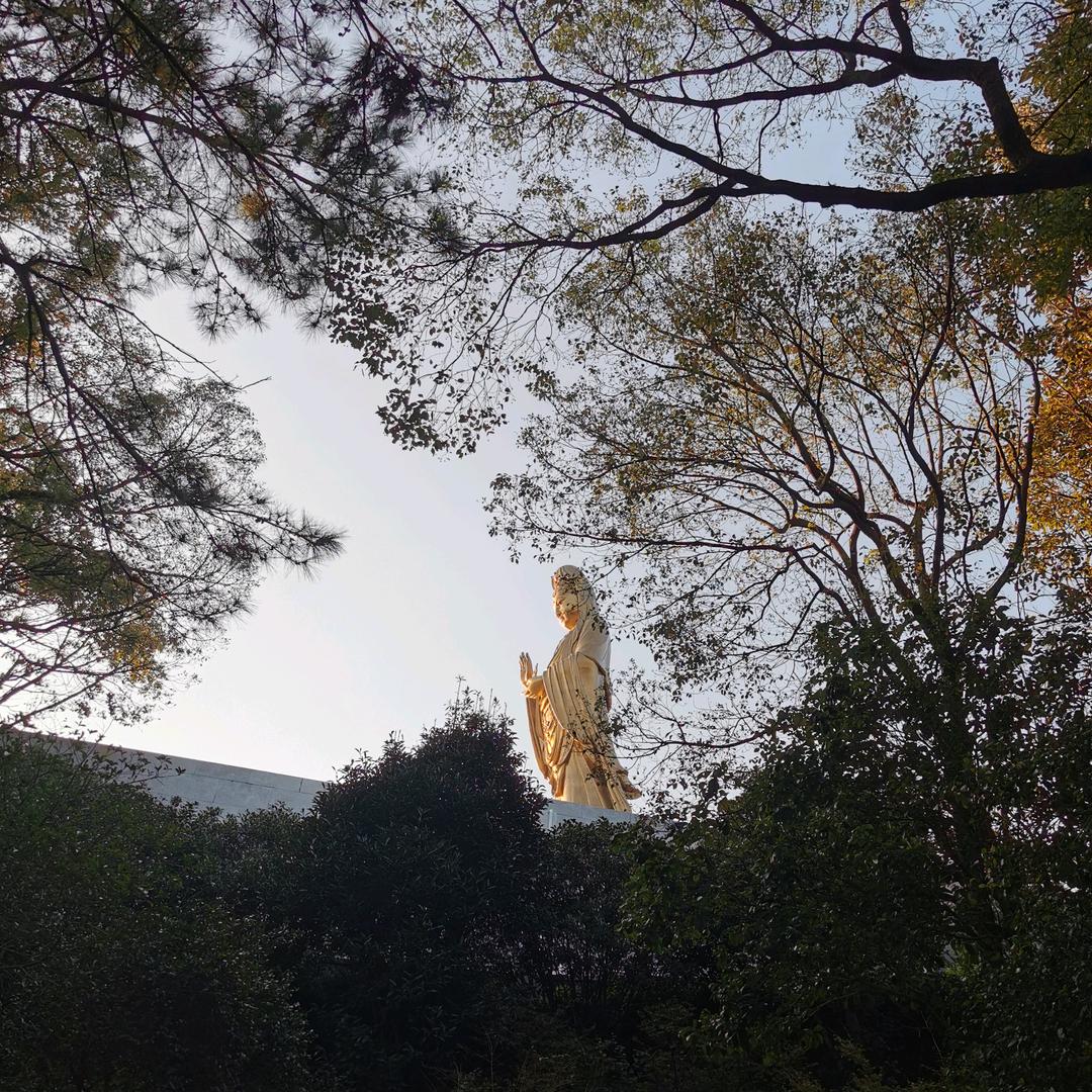 独来独往