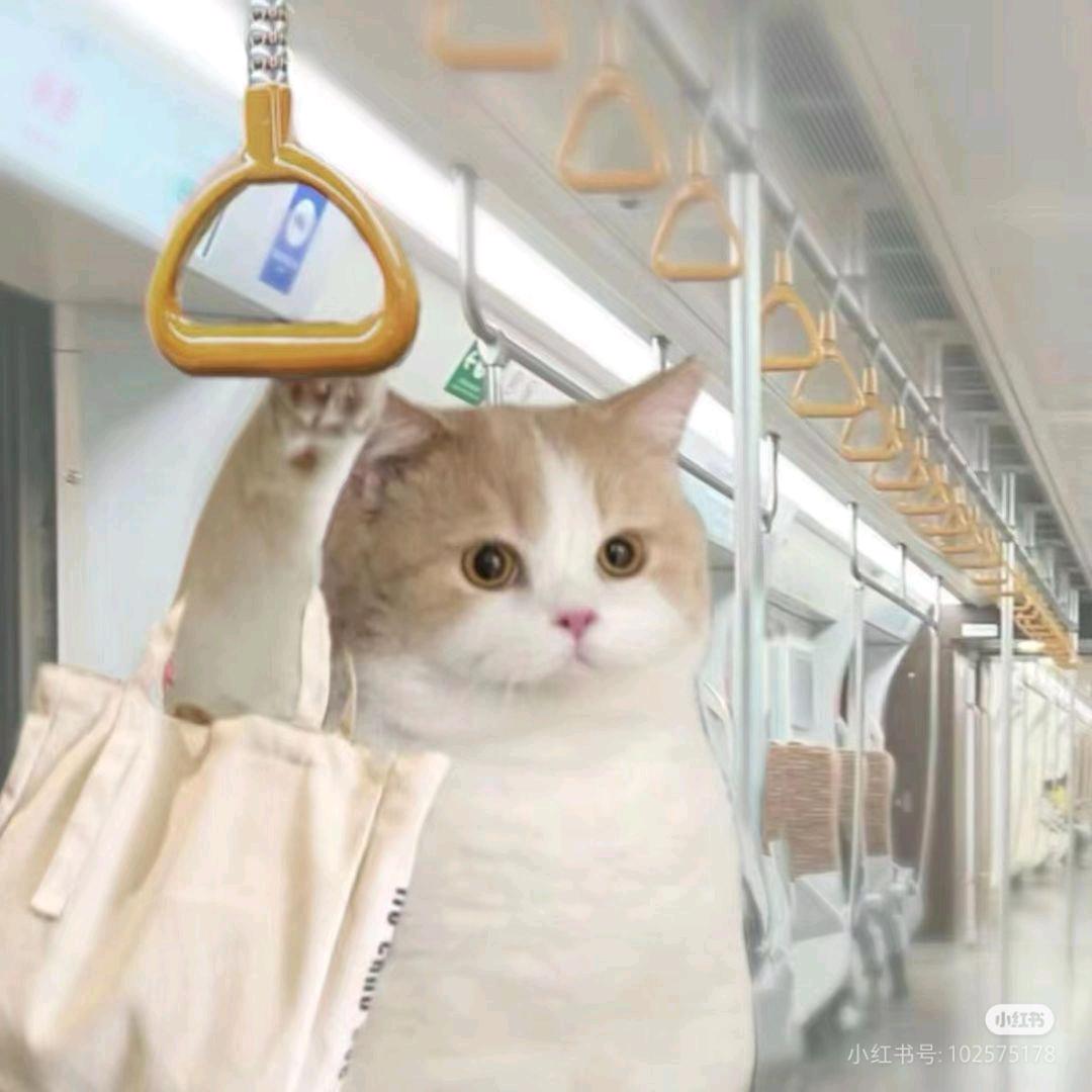 孤心啊