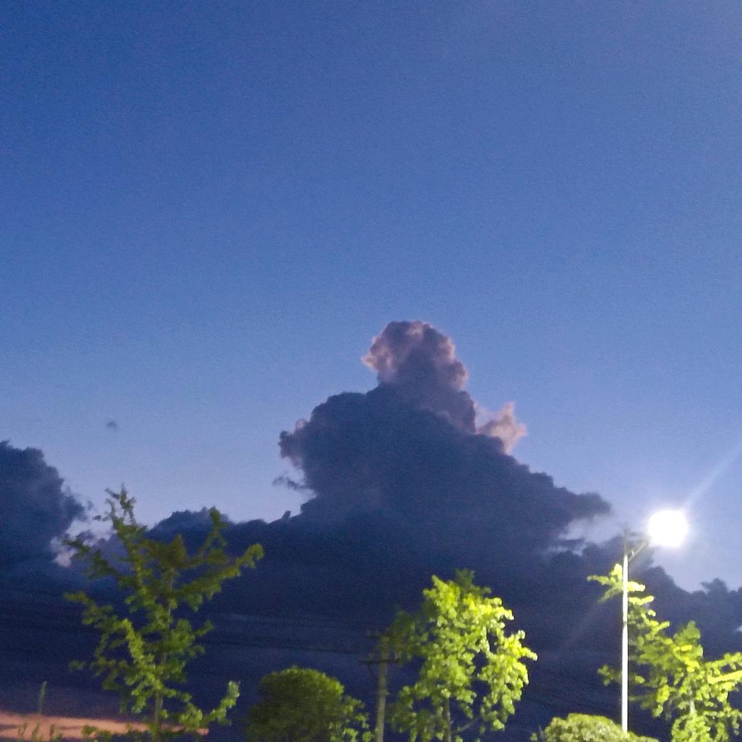 78年11月马♥(｡￫v￩｡)♥