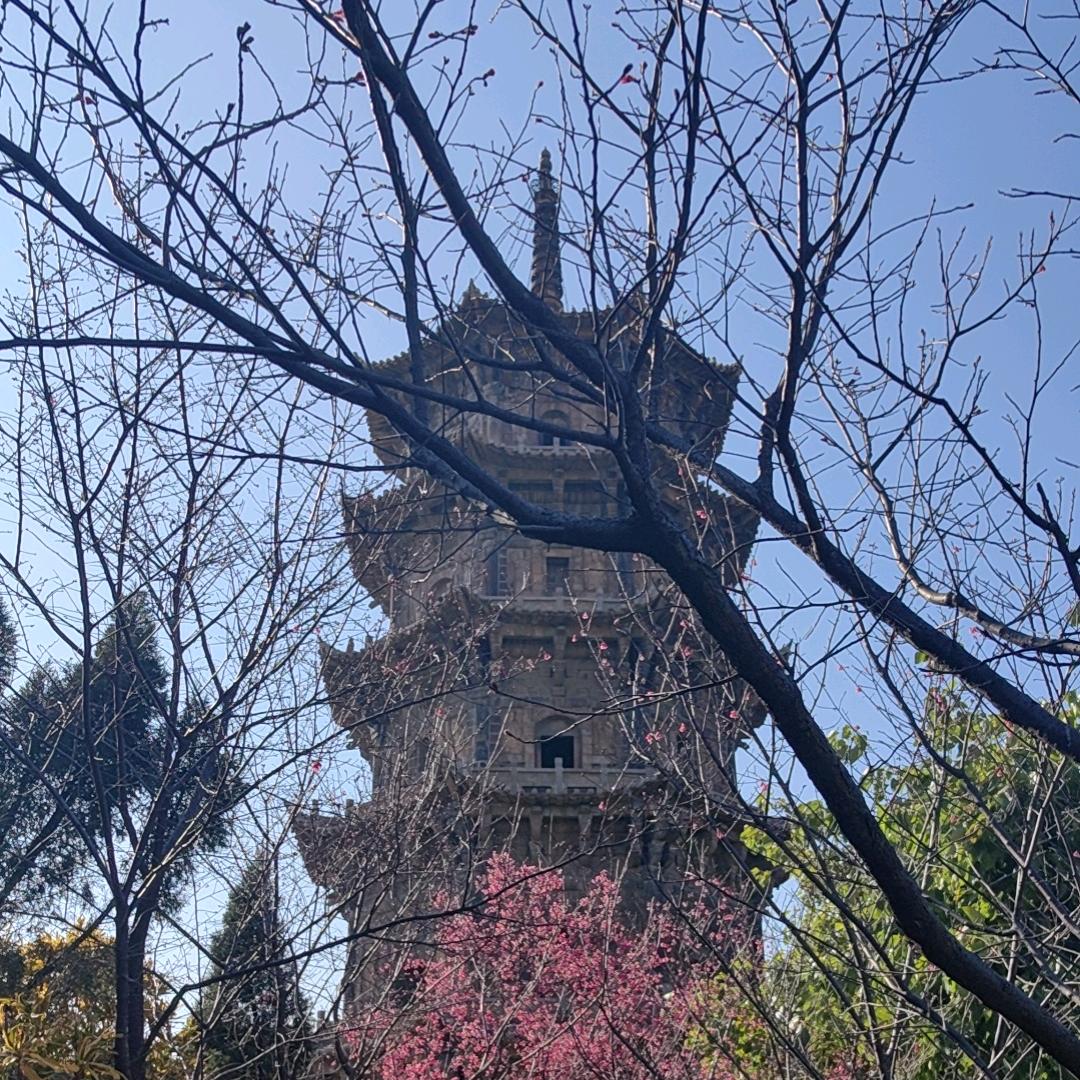 三谋—李老师