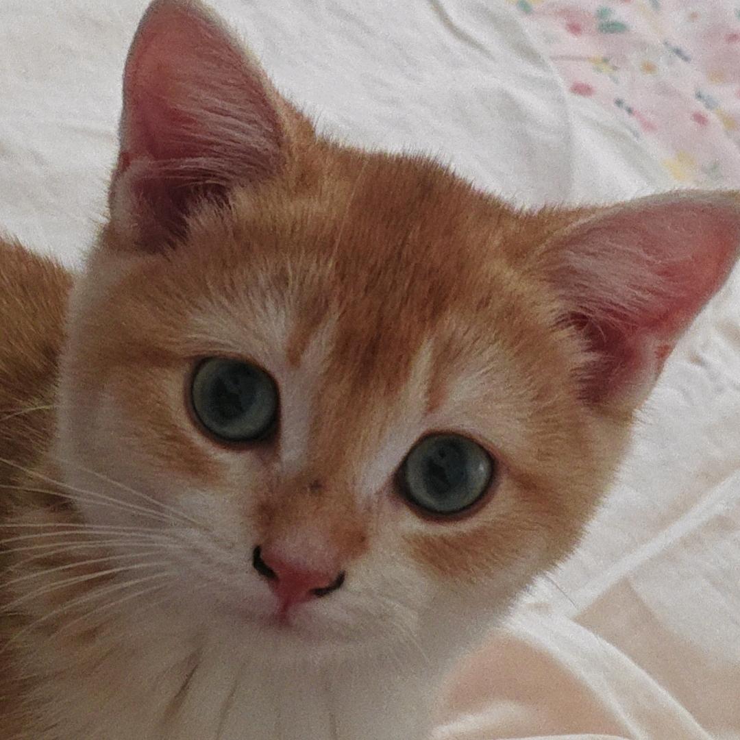 ..#