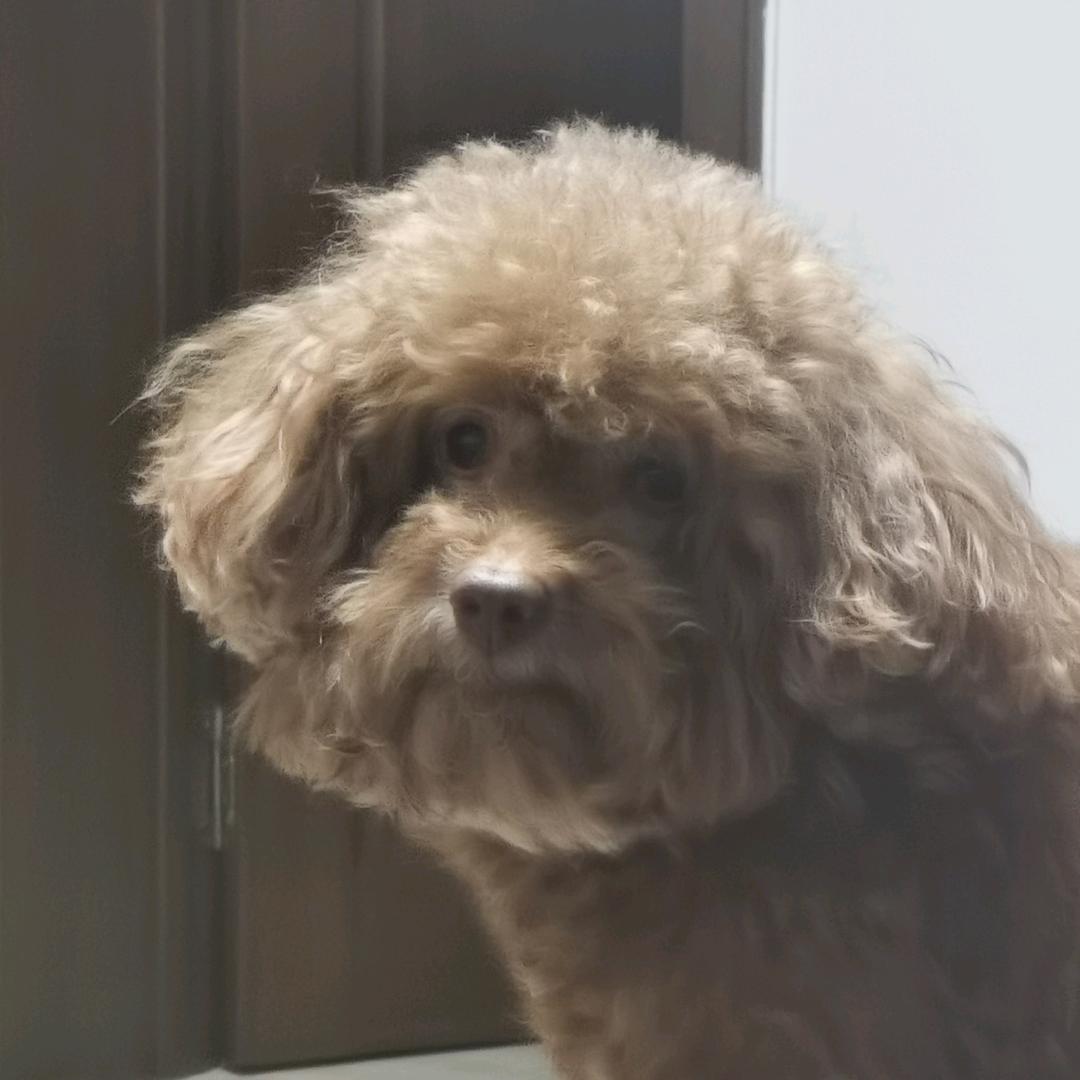 跨越山川奔向大海