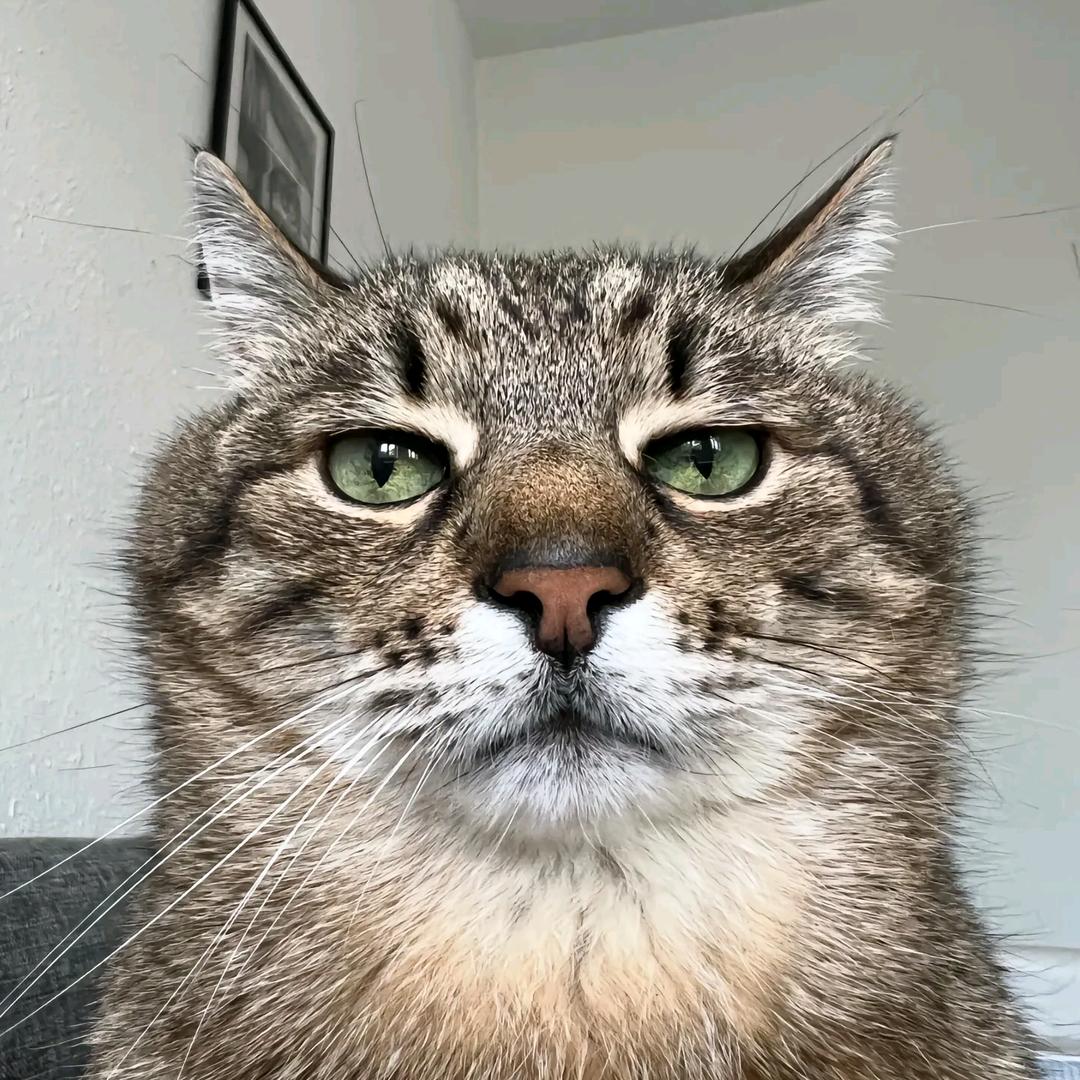 你瞅啥？