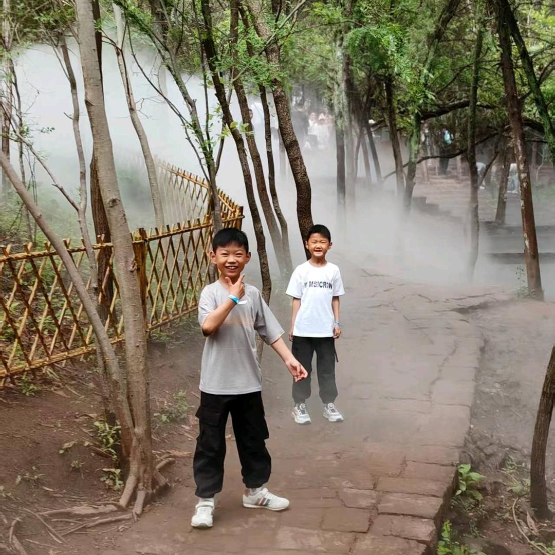 举大旗