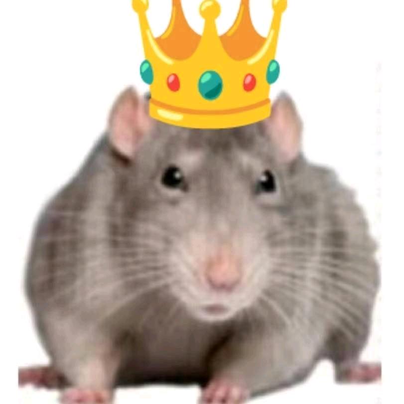 将军（三角洲行动）