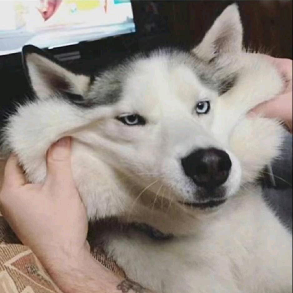 芒果可乐