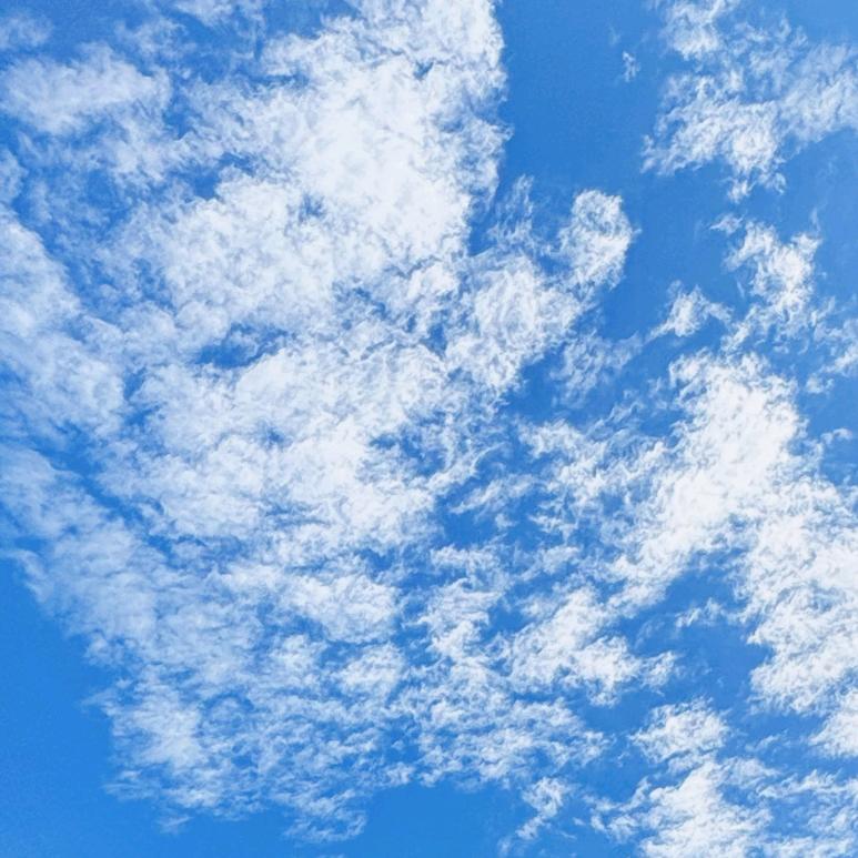 阳光明媚🌞中年美少女🧚🏻