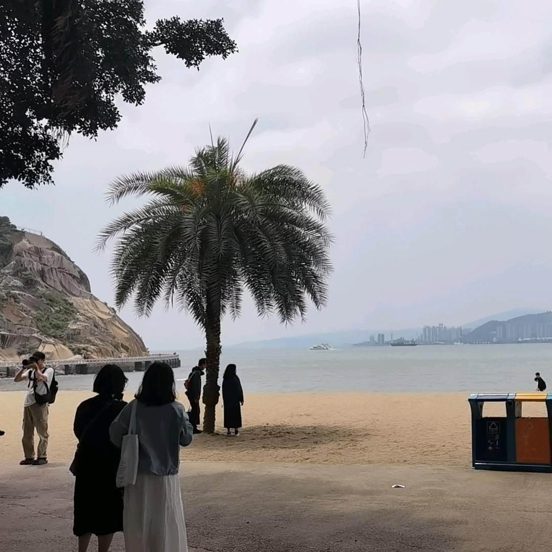 折技惊鹊