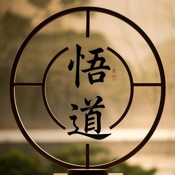 以⭕️悟道