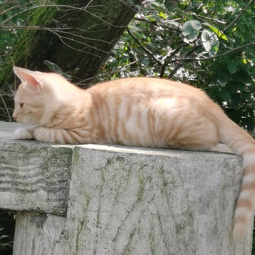 爱萱儿～要温柔