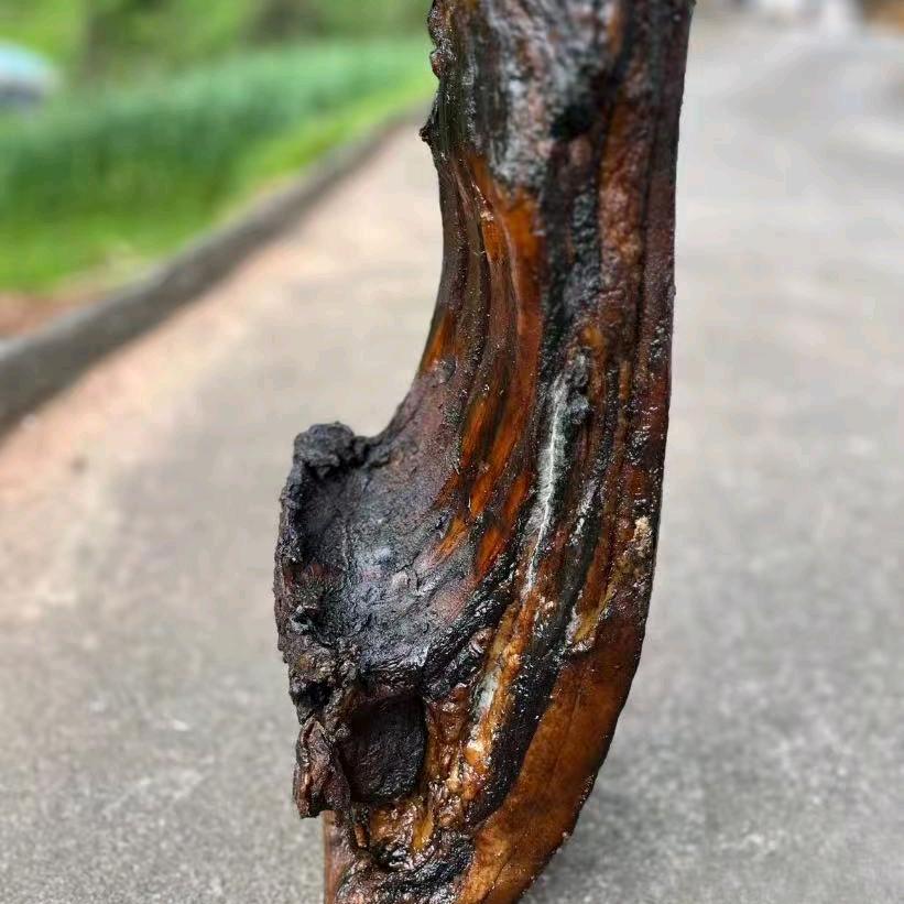 腊么好土特产