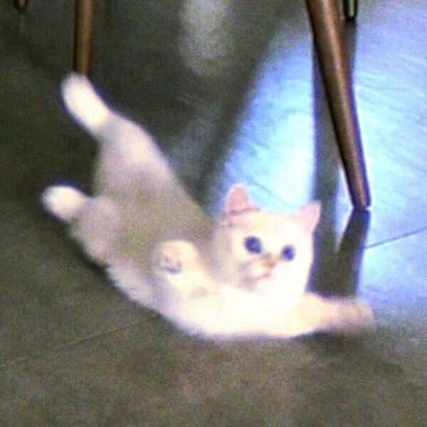 包包的宝藏饰品小屋