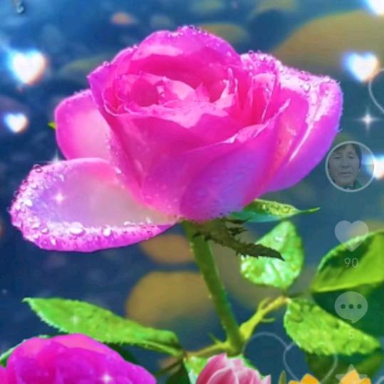 雨后彩虹