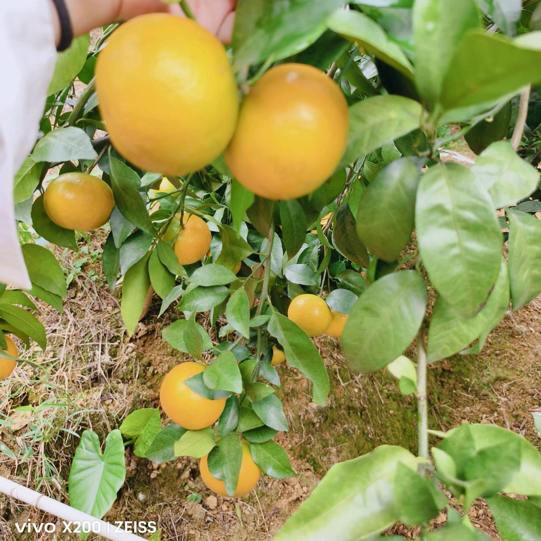 往前看，就幸福安康