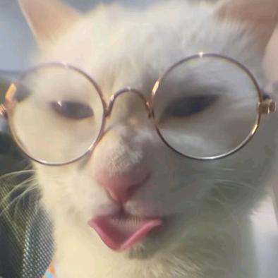 鼠鼠我呀(*^ω^*)