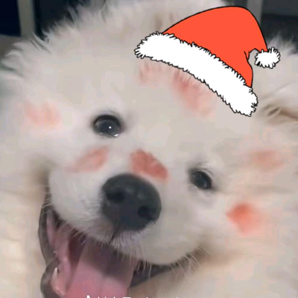 空雪泊