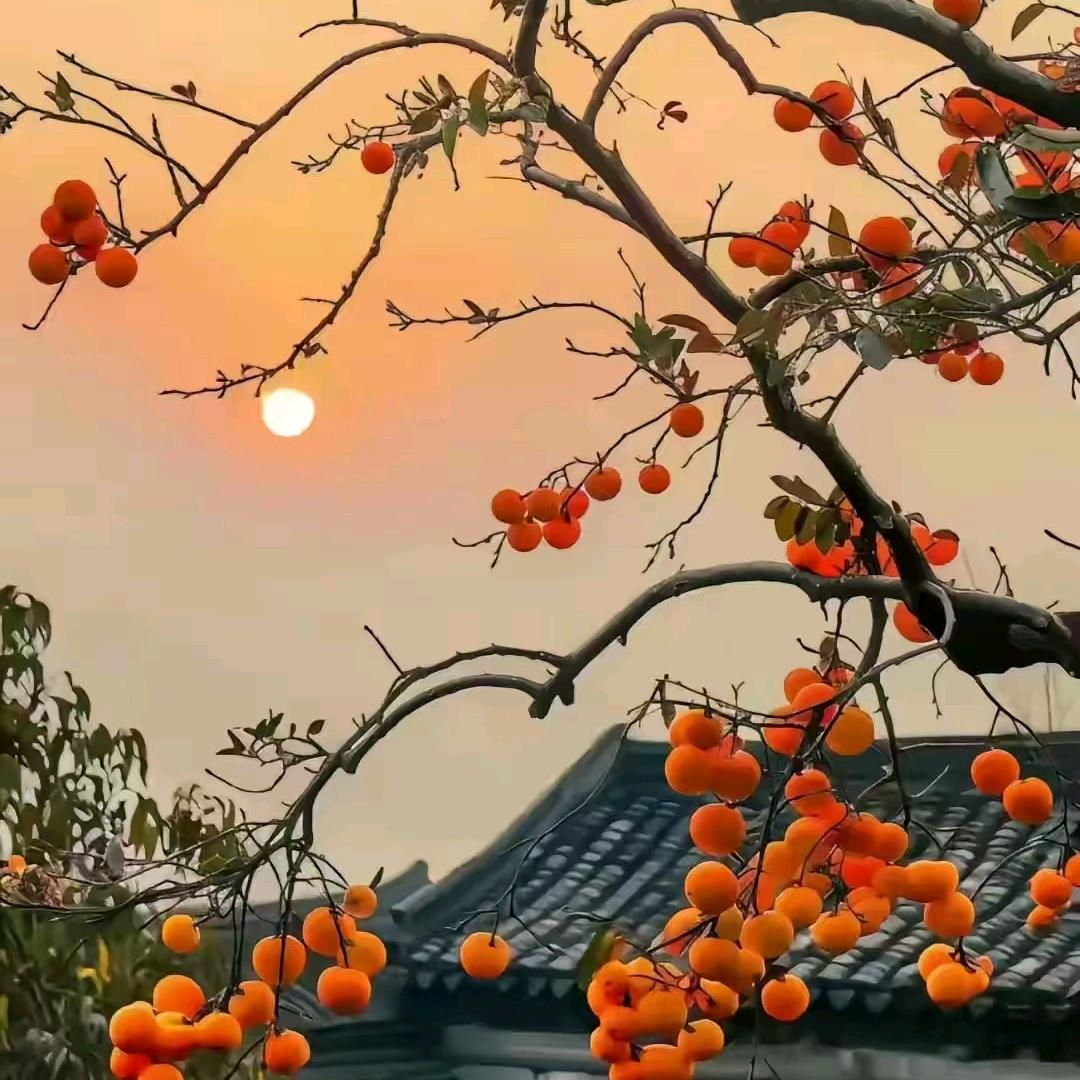 娟❤️🥰