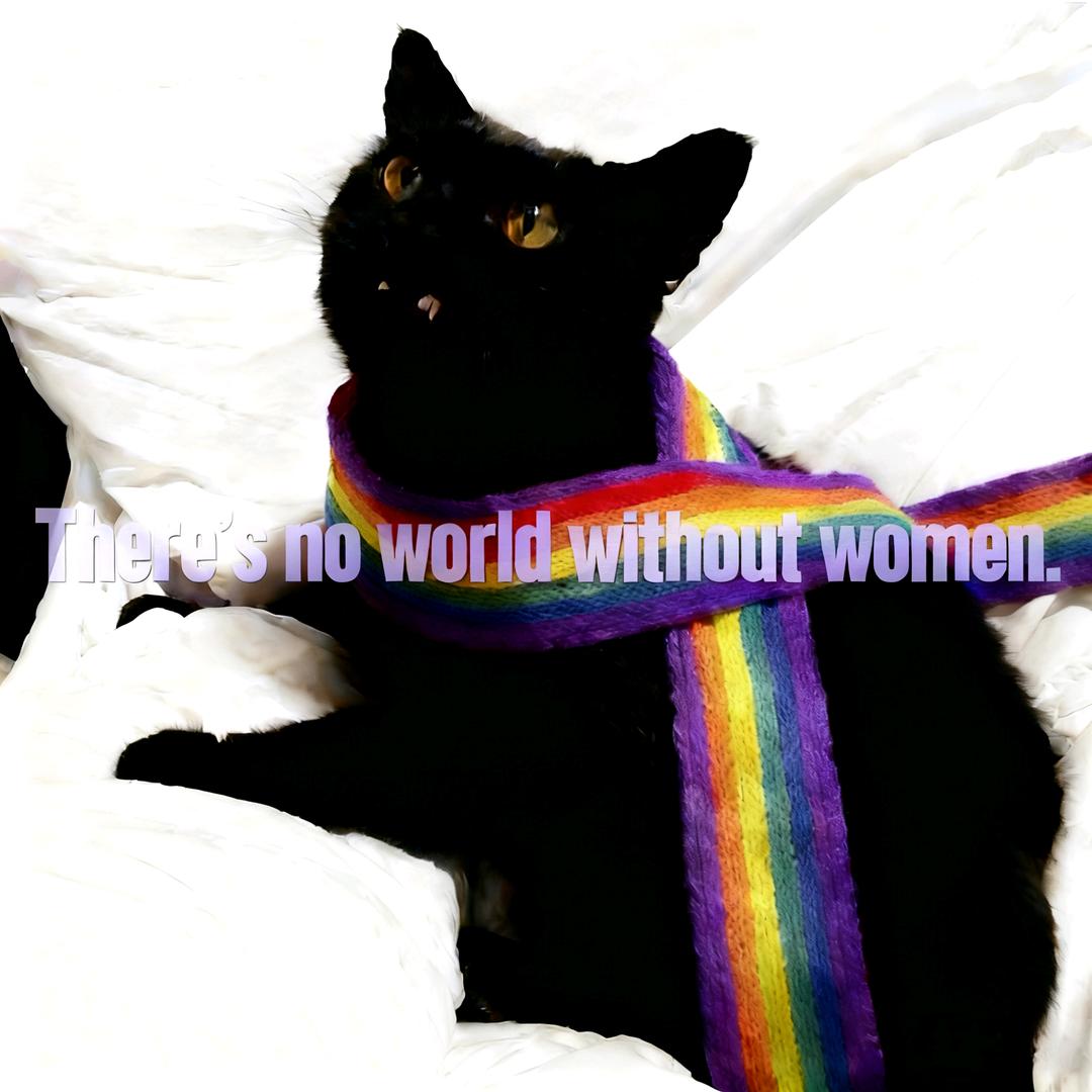 芙蓉不是芙蓉（断更版