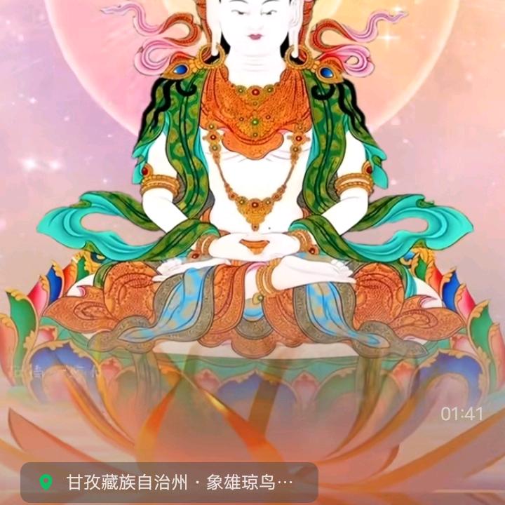 雪域姑娘