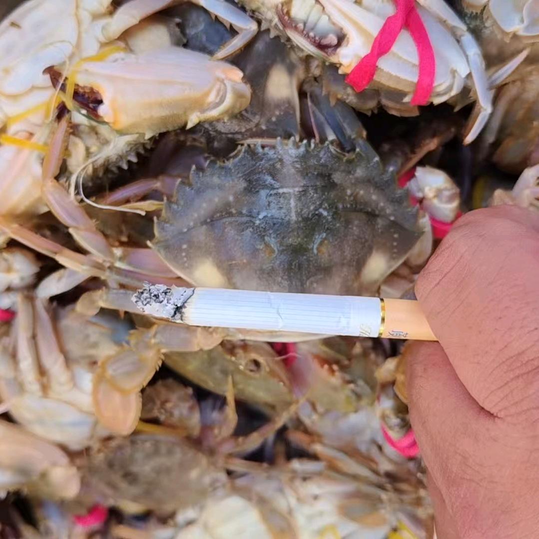 阿包玩游戏