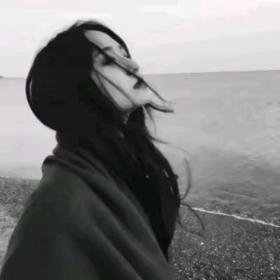 🌴心如止水