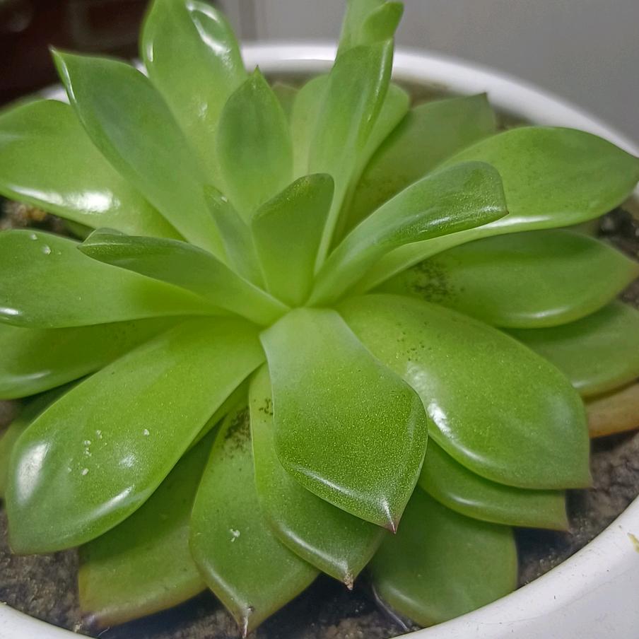 静谧如初