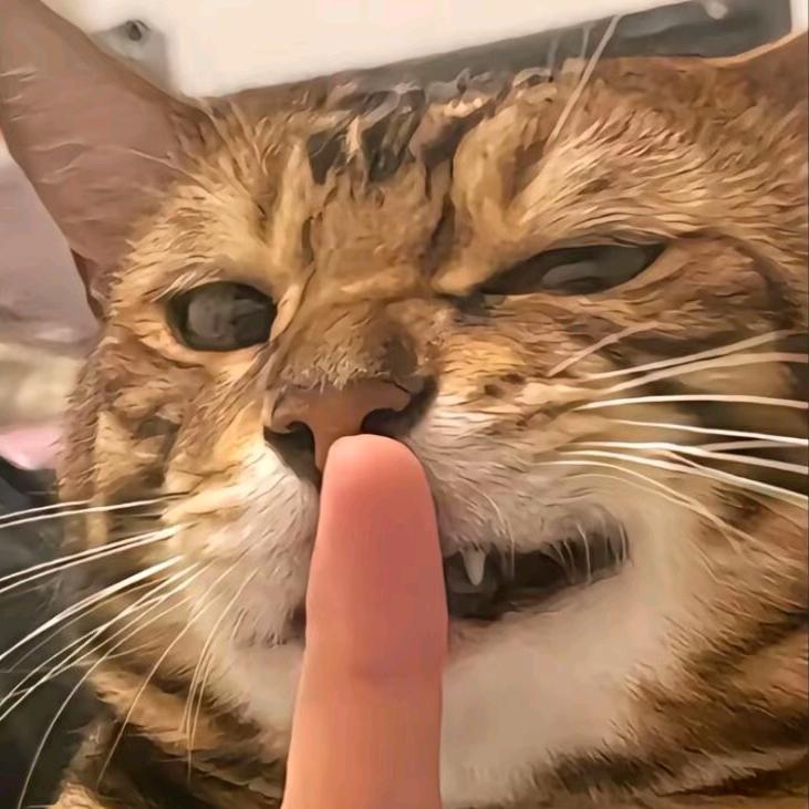 晴天º