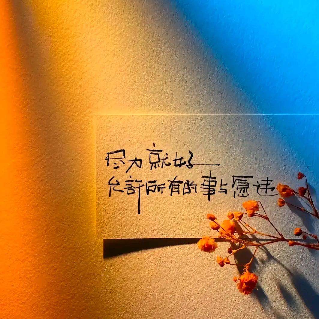 爱穿漂亮衣服的七七