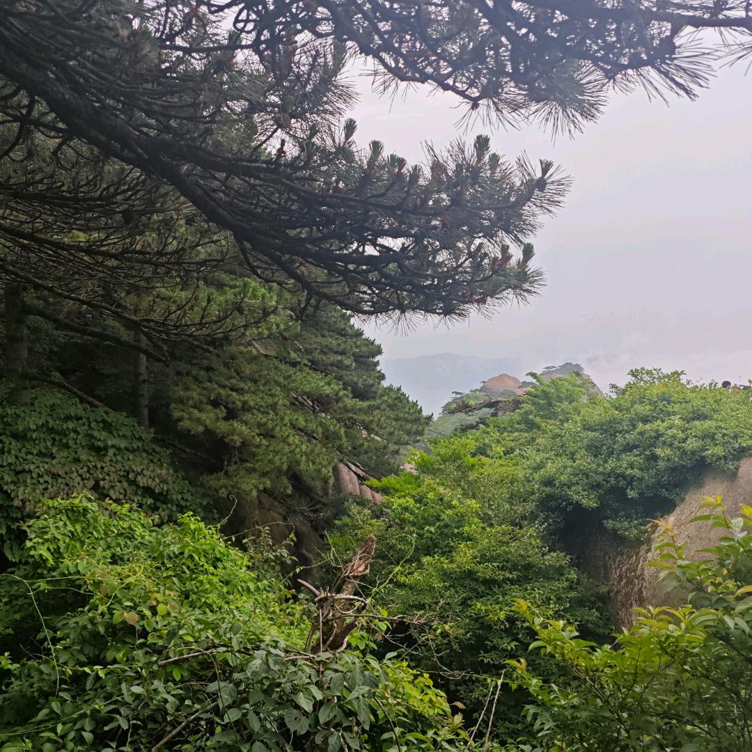 这班谁爱上谁上吧