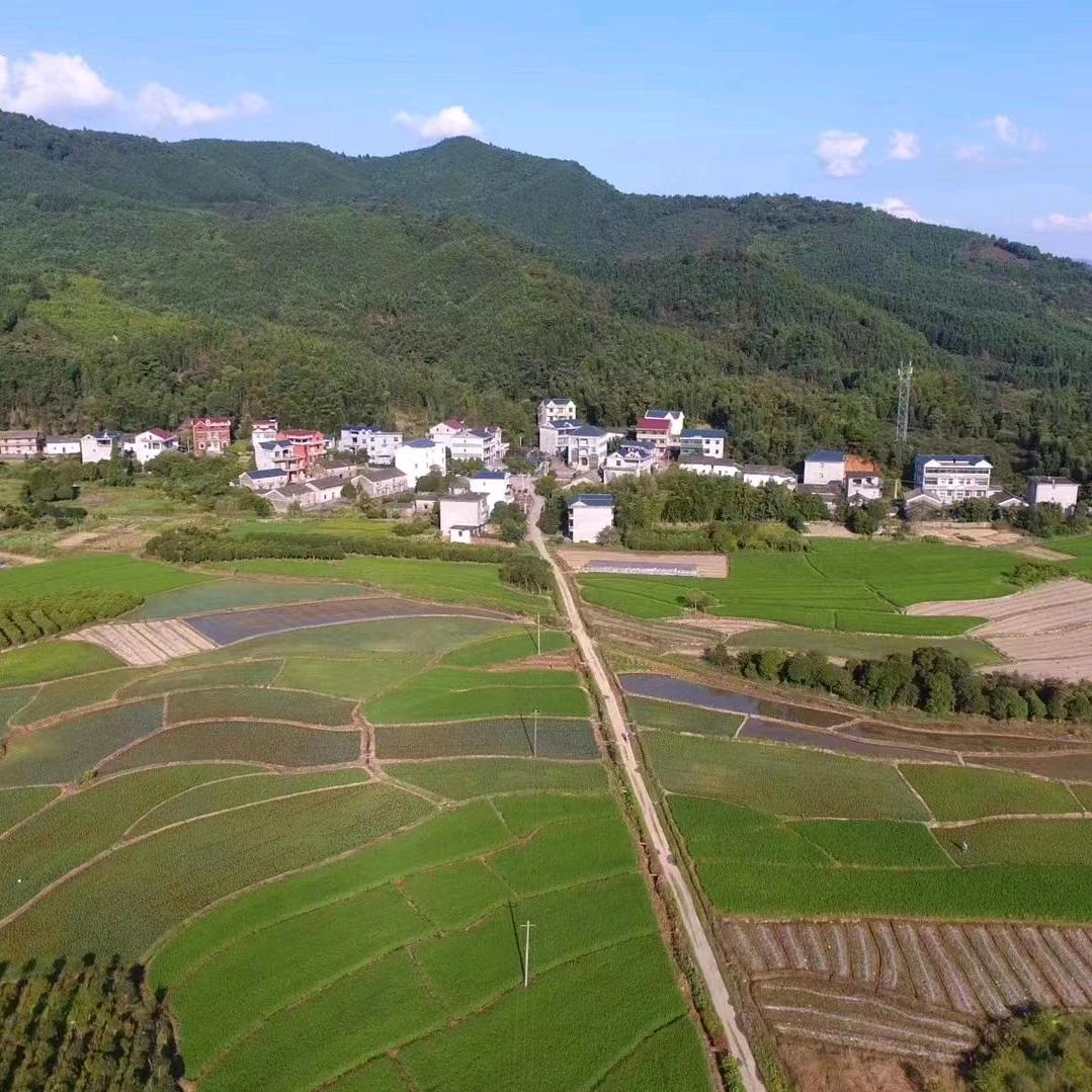 科格旺商行