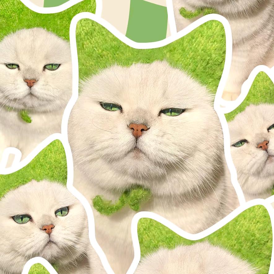 我要瘦到90斤☺