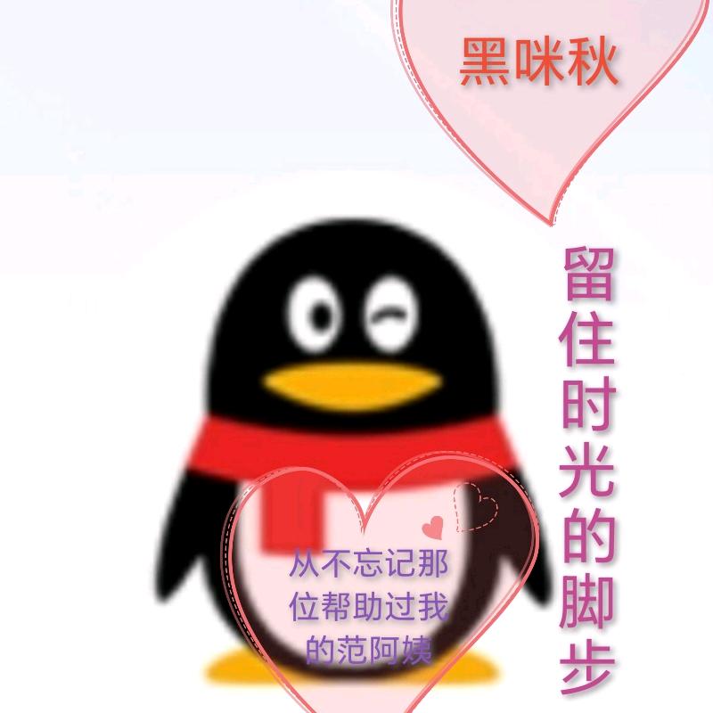 黑咪秋
