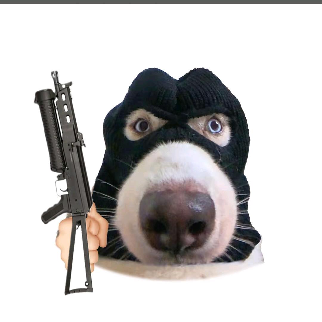 CSGO小李（炼金日记）