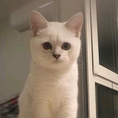 (⁎⁍̴̛ᴗ⁍̴̛⁎)