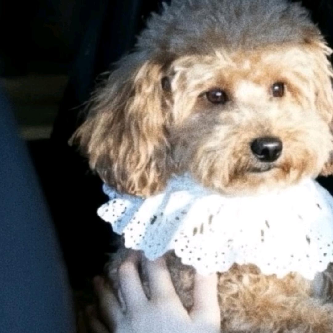 高中英语周老师