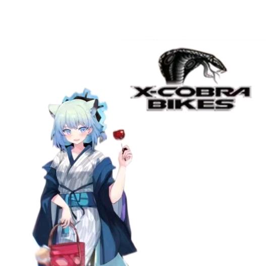 禁止坠头😇（🐯）