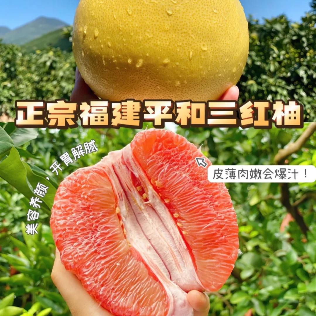 福建柚子代办🍊